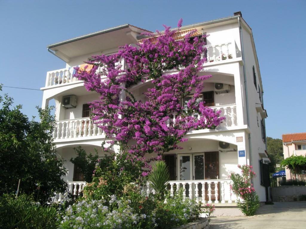 Apartment Barbat 17620a *